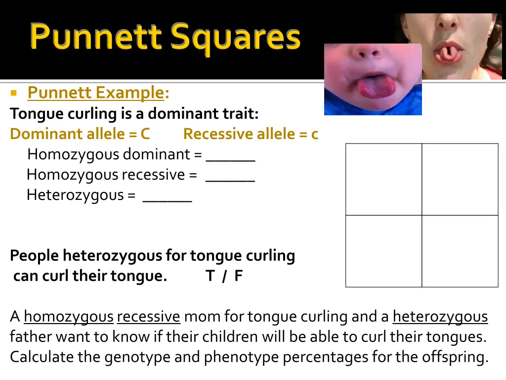 punnett example tongue curling is a dominant