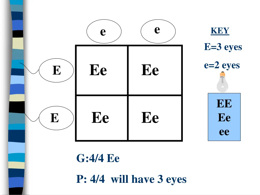 slide7