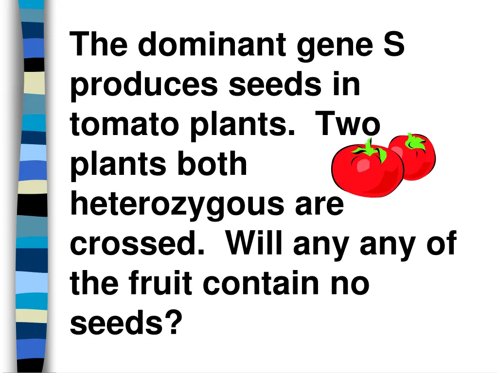 the dominant gene s produces seeds in tomato