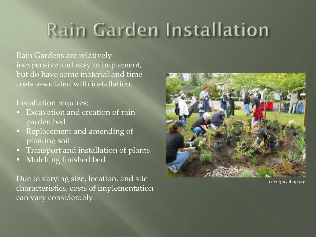 rain gardens are relatively inexpensive and easy