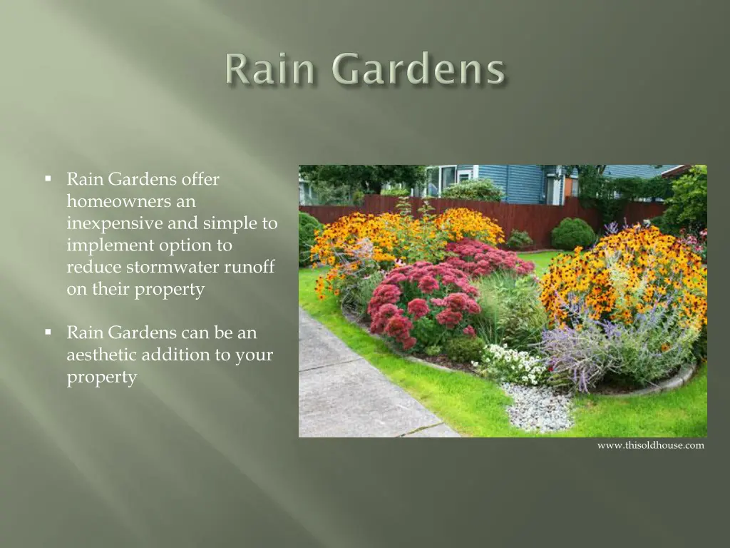 rain gardens offer homeowners an inexpensive