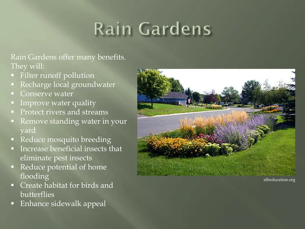 rain gardens offer many benefits they will filter