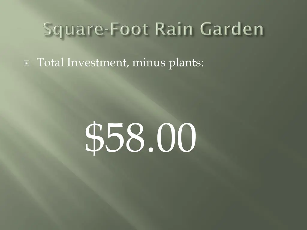 total investment minus plants