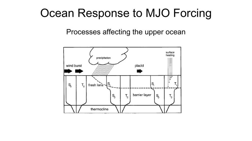 ocean response to mjo forcing 1