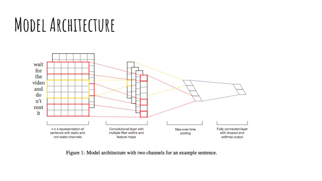 model architecture