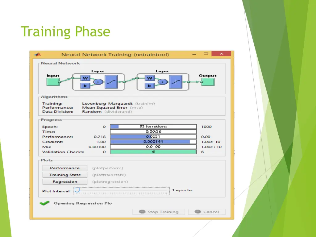 training phase