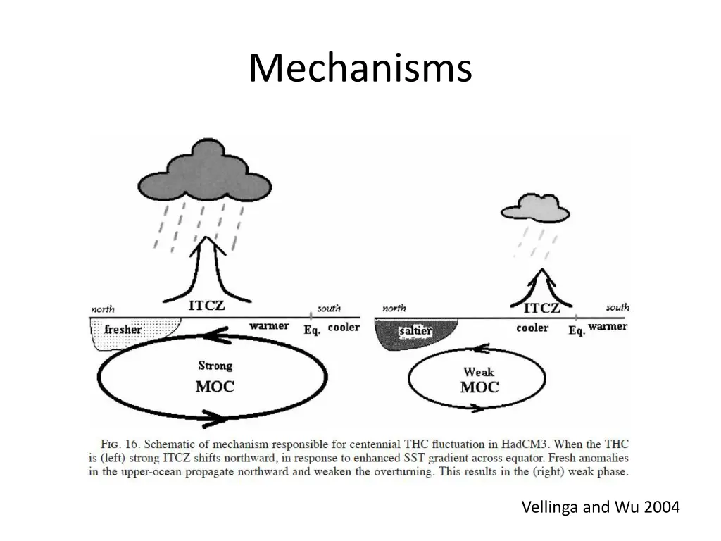 mechanisms 2