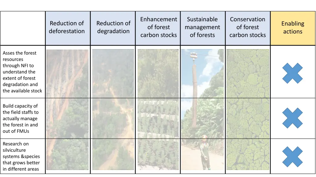 enhancement of forest carbon stocks