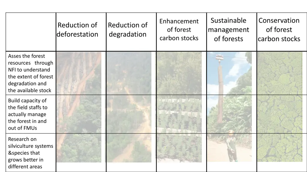 sustainable management of forests 2