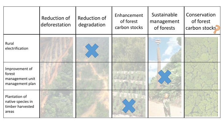 sustainable management of forests