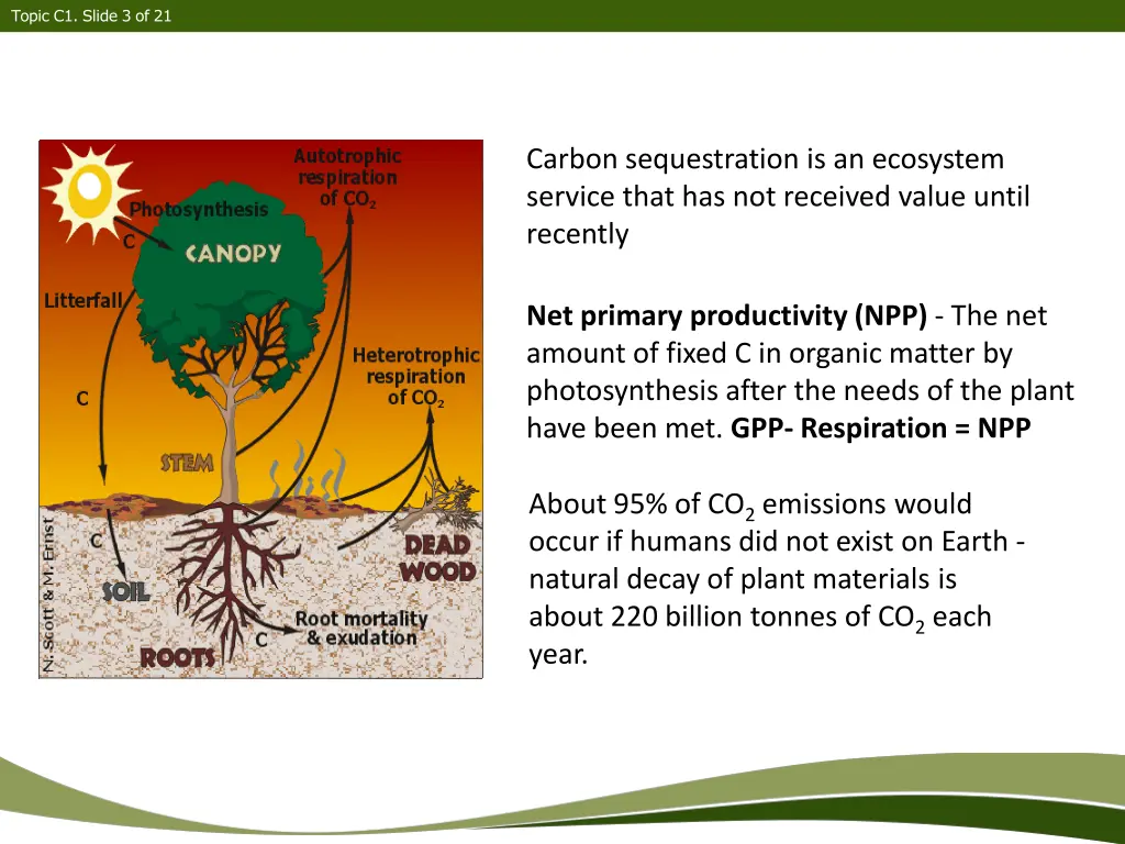 topic c1 slide 3 of 21