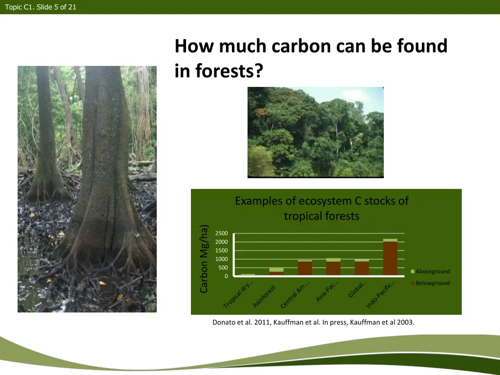 topic c1 slide 5 of 21