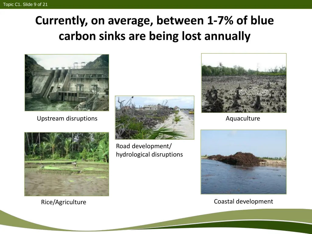 topic c1 slide 9 of 21