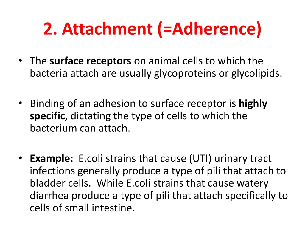 2 attachment adherence 1