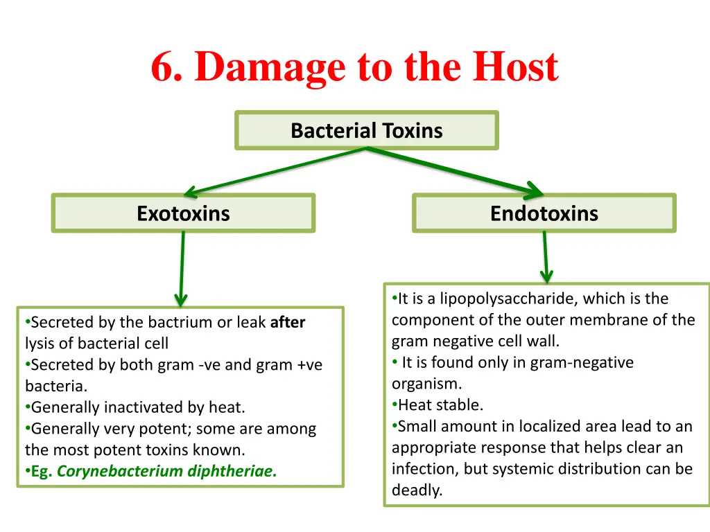 6 damage to the host