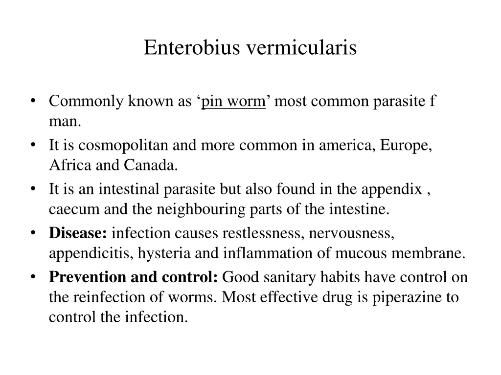 enterobius vermicularis