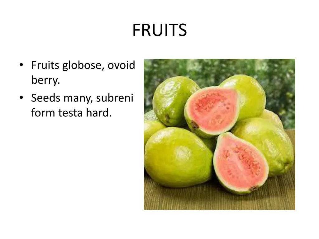 fruits