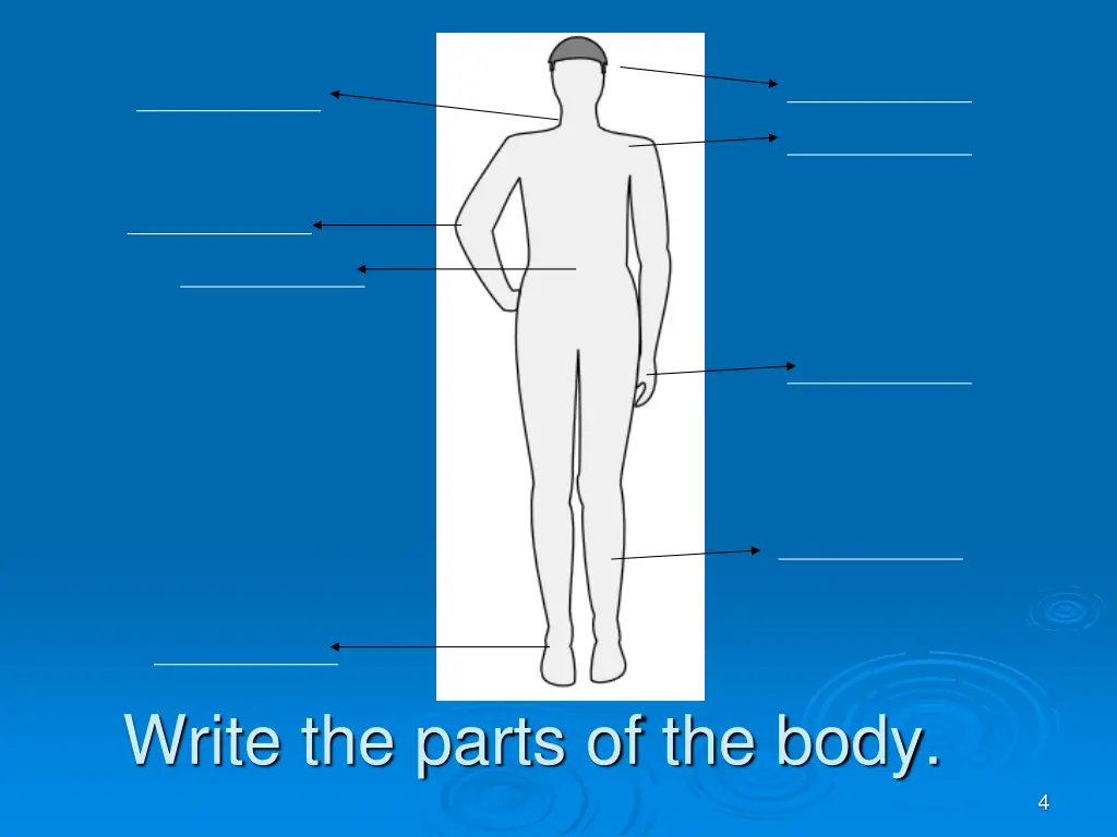 write the parts of the body