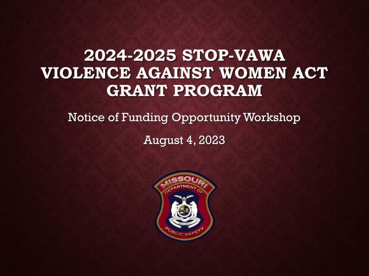 2024 2025 stop vawa violence against women