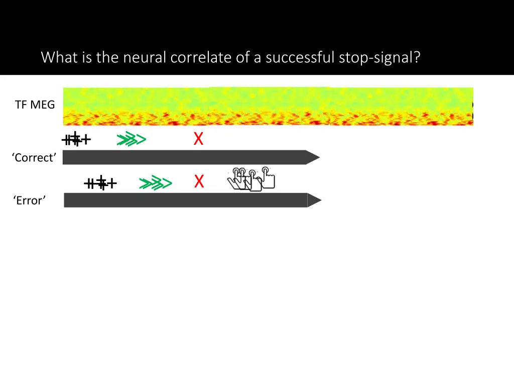 what is the neural correlate of a successful stop