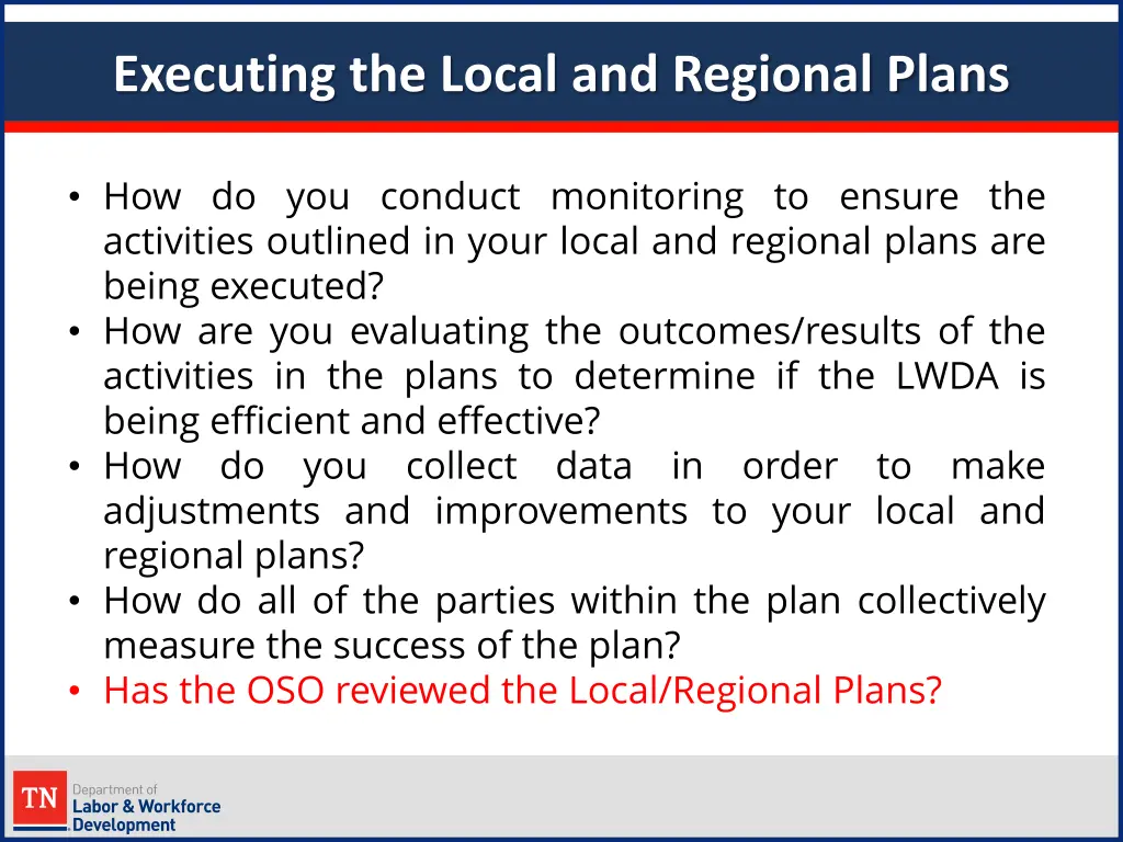 executing the local and regional plans