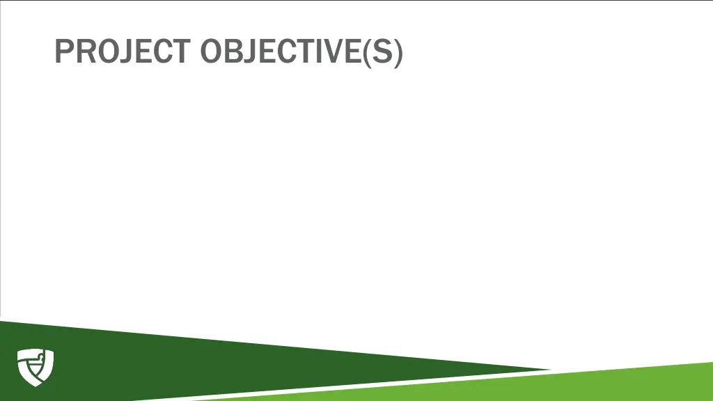 project objective s