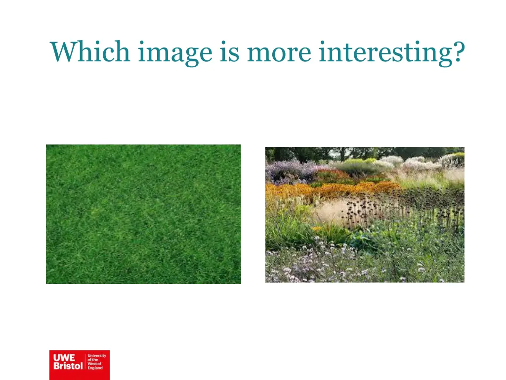 which image is more interesting