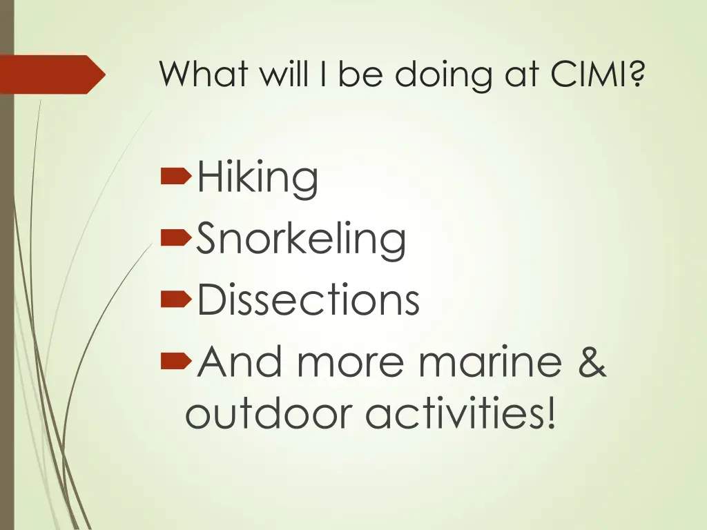 what will i be doing at cimi