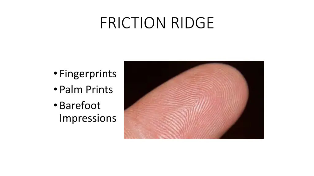 friction ridge