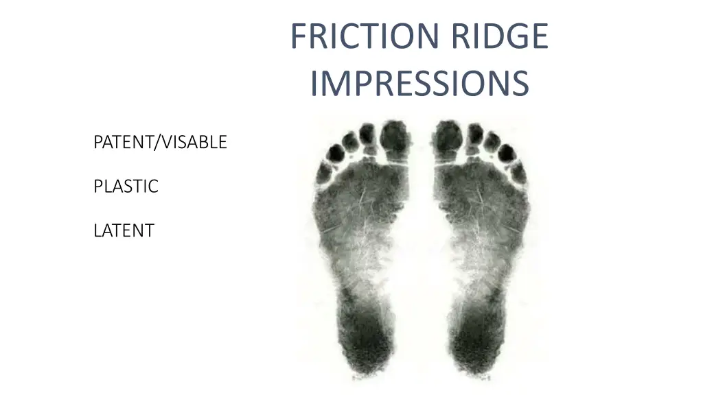 friction ridge impressions