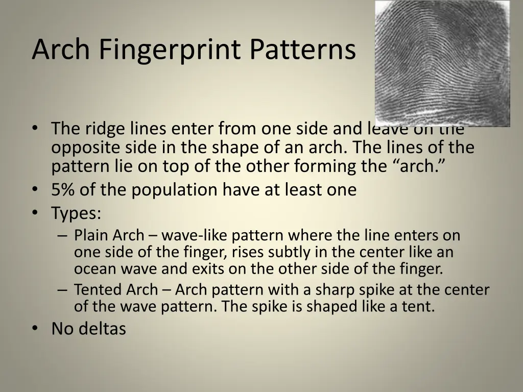 arch fingerprint patterns