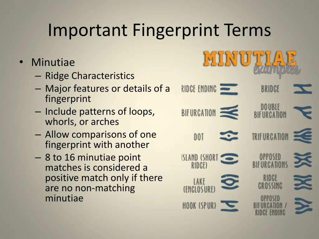 important fingerprint terms