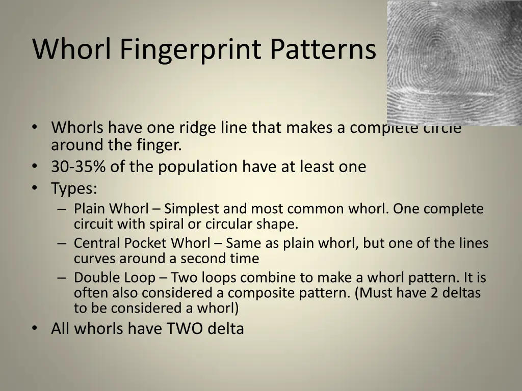 whorl fingerprint patterns