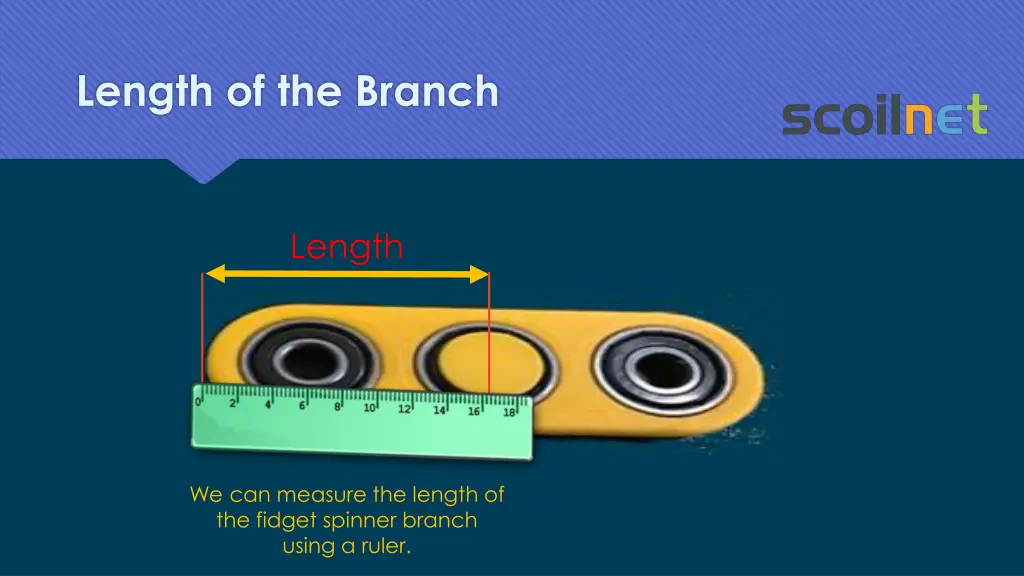 length of the branch