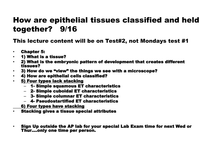 how are epithelial tissues classified and held