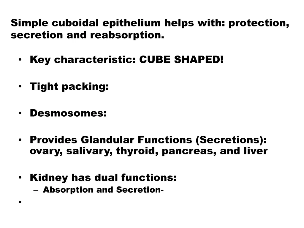 simple cuboidal epithelium helps with protection