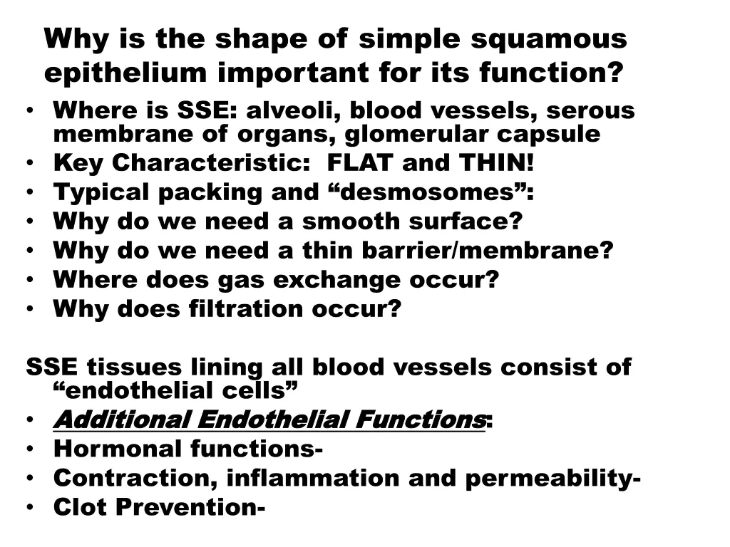 why is the shape of simple squamous epithelium