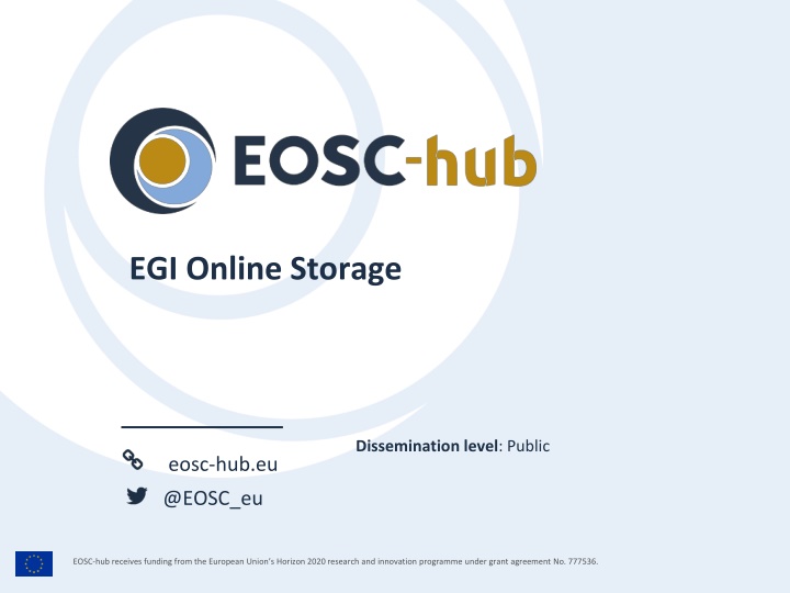 egi online storage