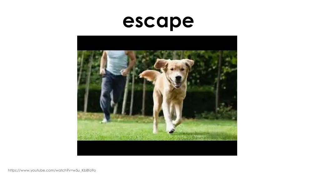 escape