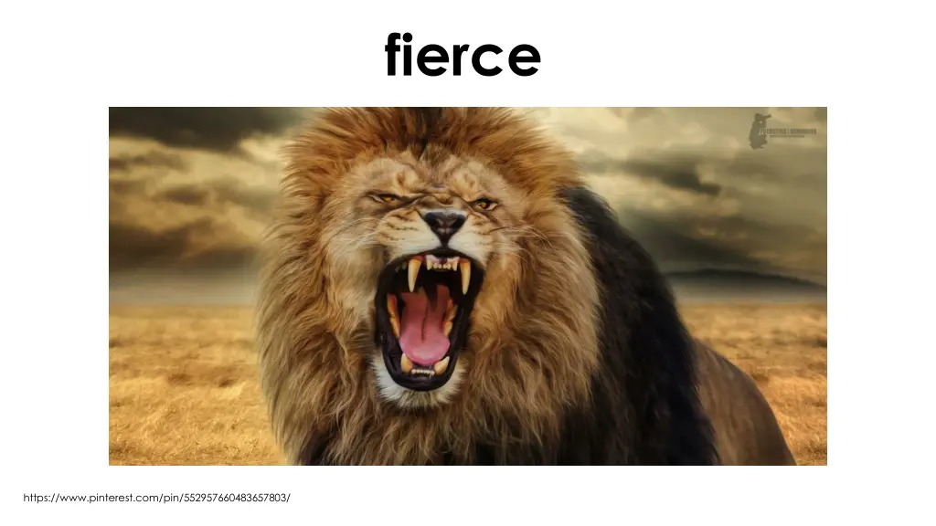 fierce