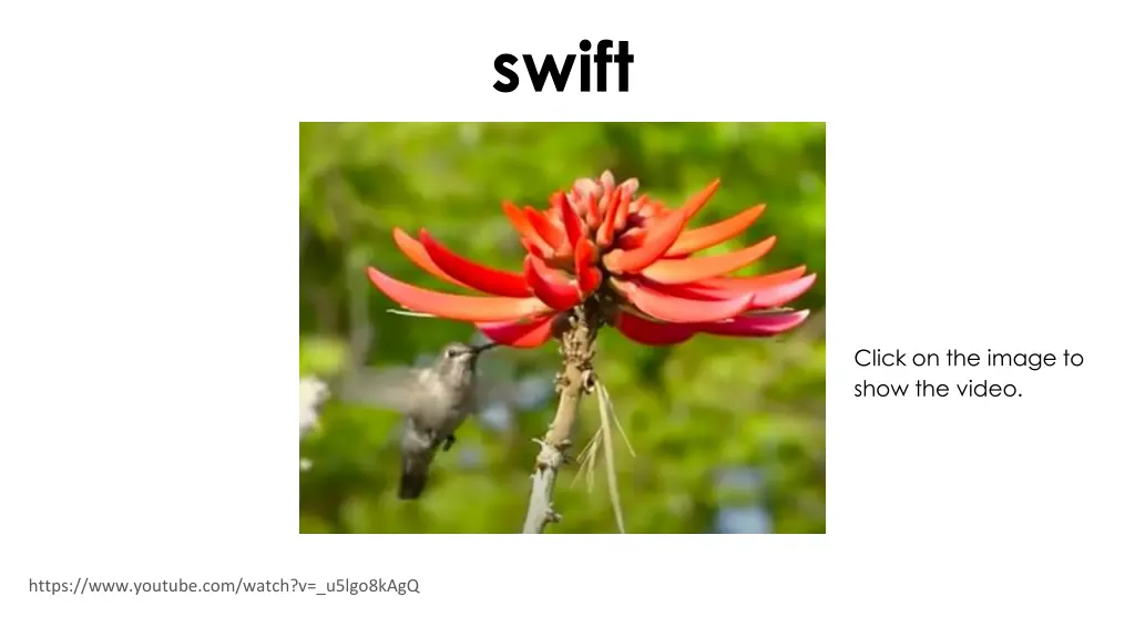 swift