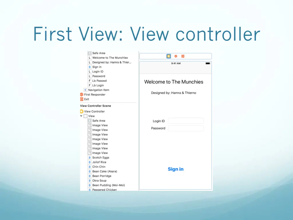 first view view controller