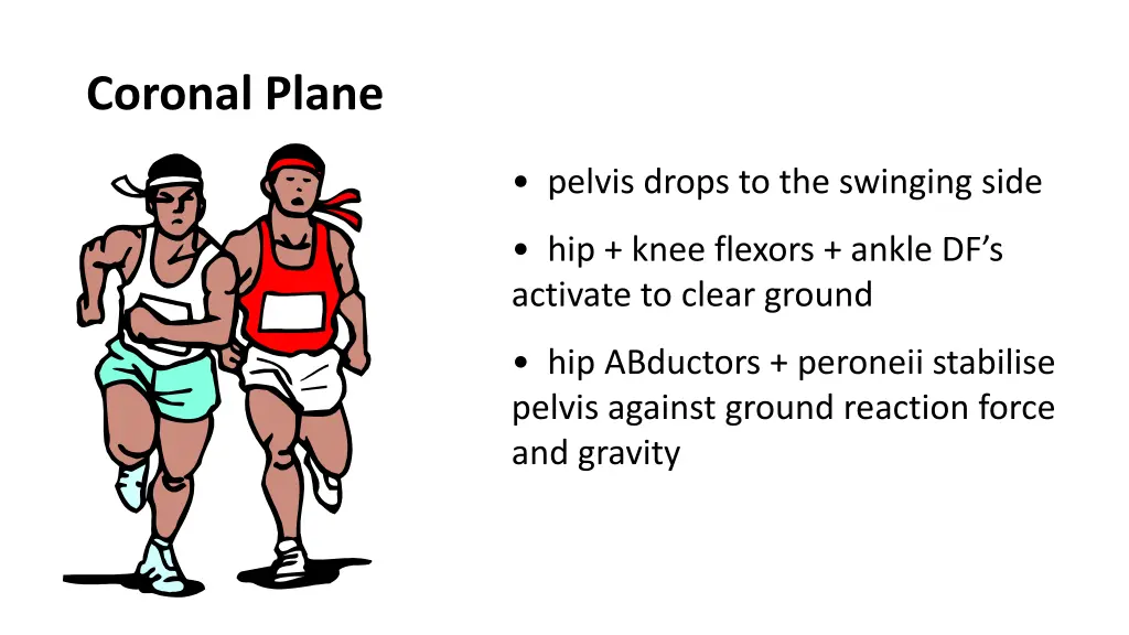 coronal plane