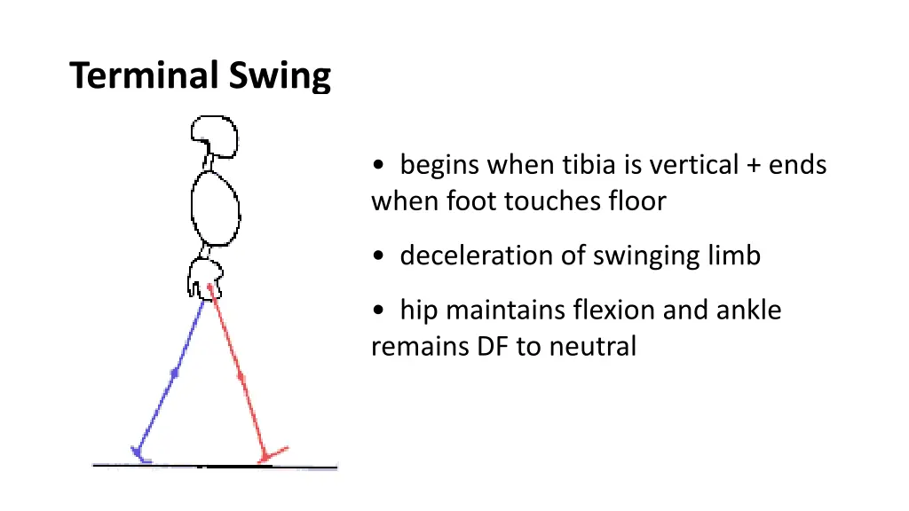 terminal swing