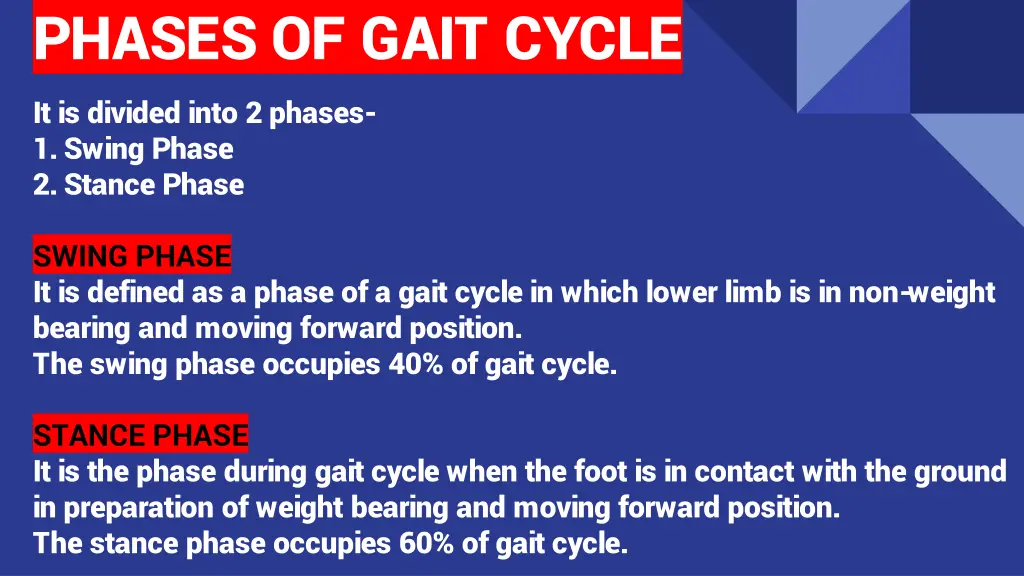 phases of gait cycle