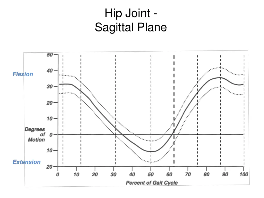 hip joint sagittal plane