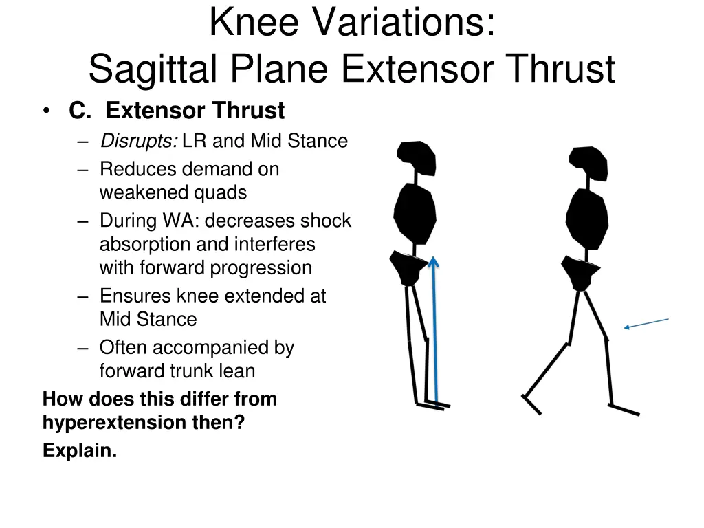 knee variations sagittal plane extensor thrust