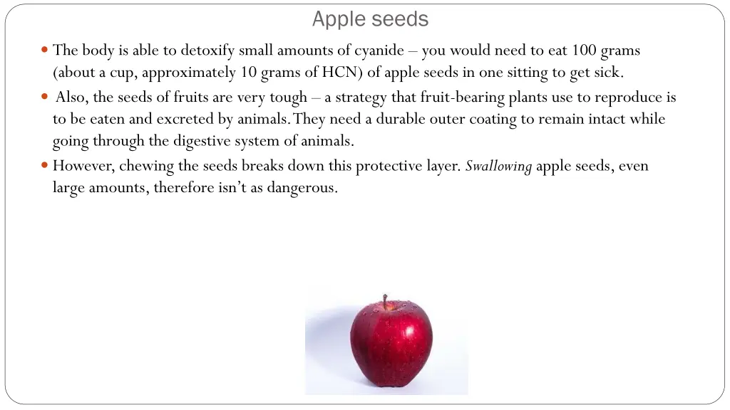 apple seeds