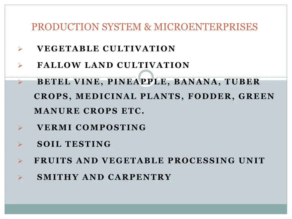 production system microenterprises