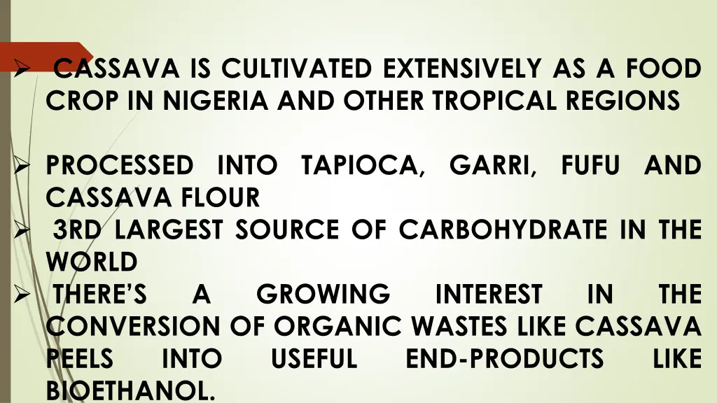 cassava is cultivated extensively as a food crop